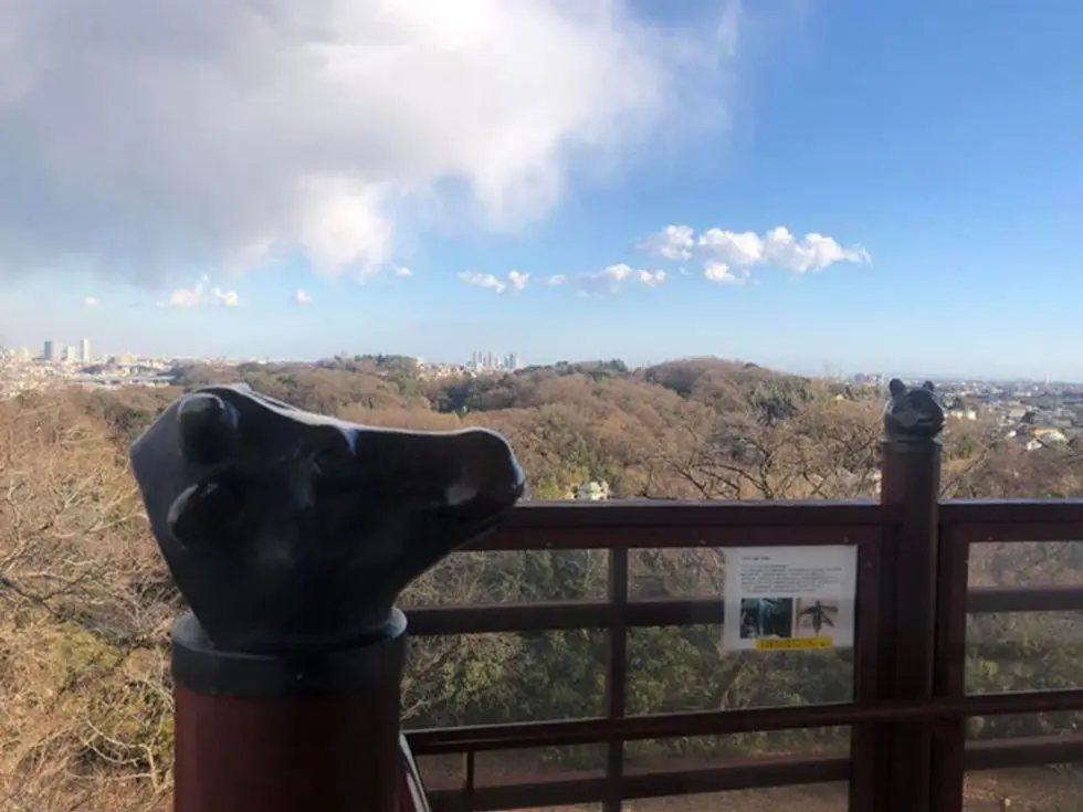 枡形山展望台